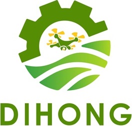 Dihong Technology